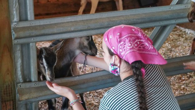 A camper petting a goat.