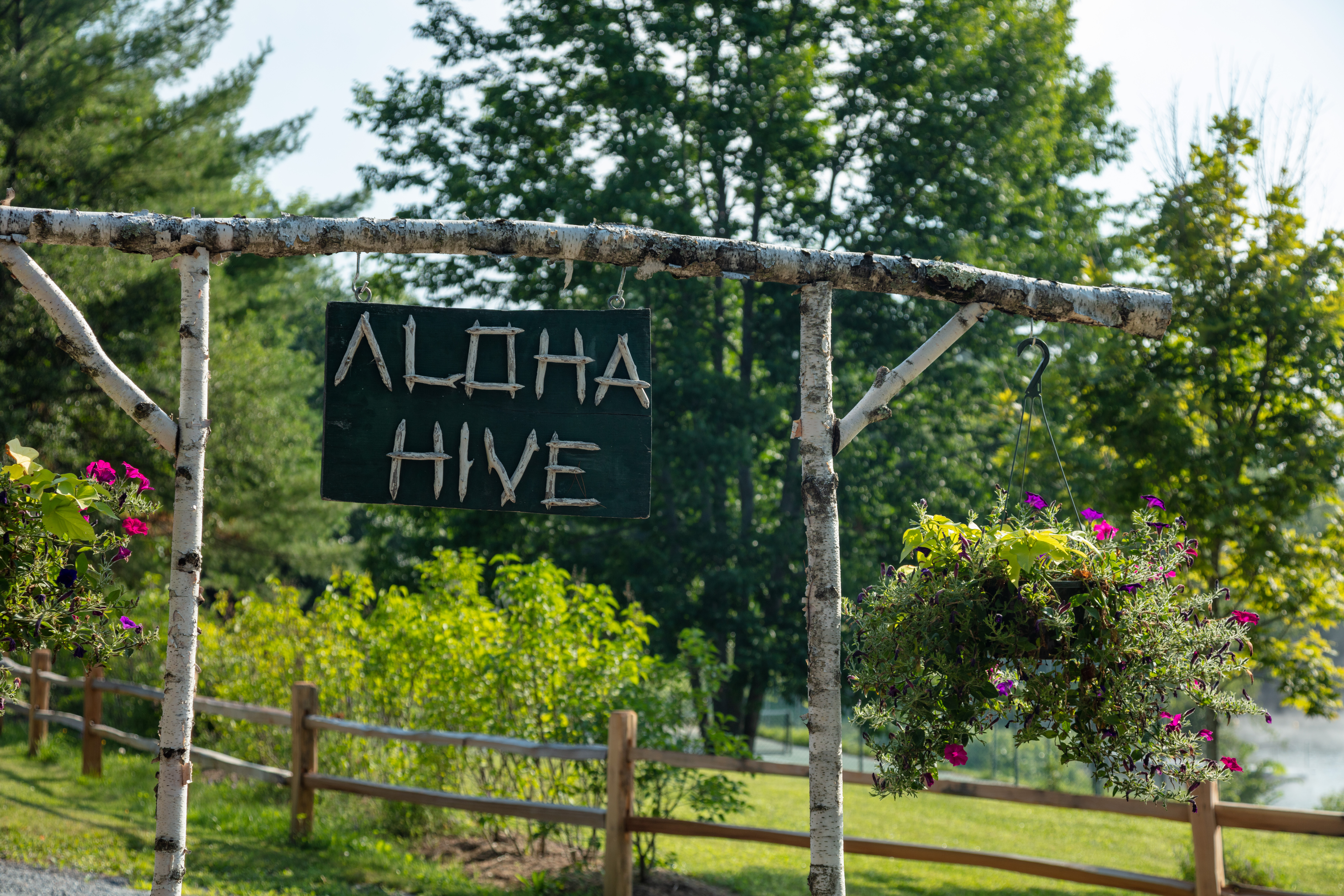 A sign saying Aloha Hive.
