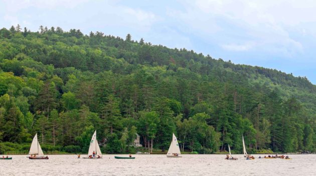 Sailboats on the lake.