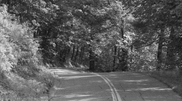 A black and white view of a road.