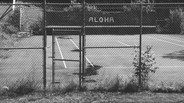 A black and white view of a chainlink fence.
