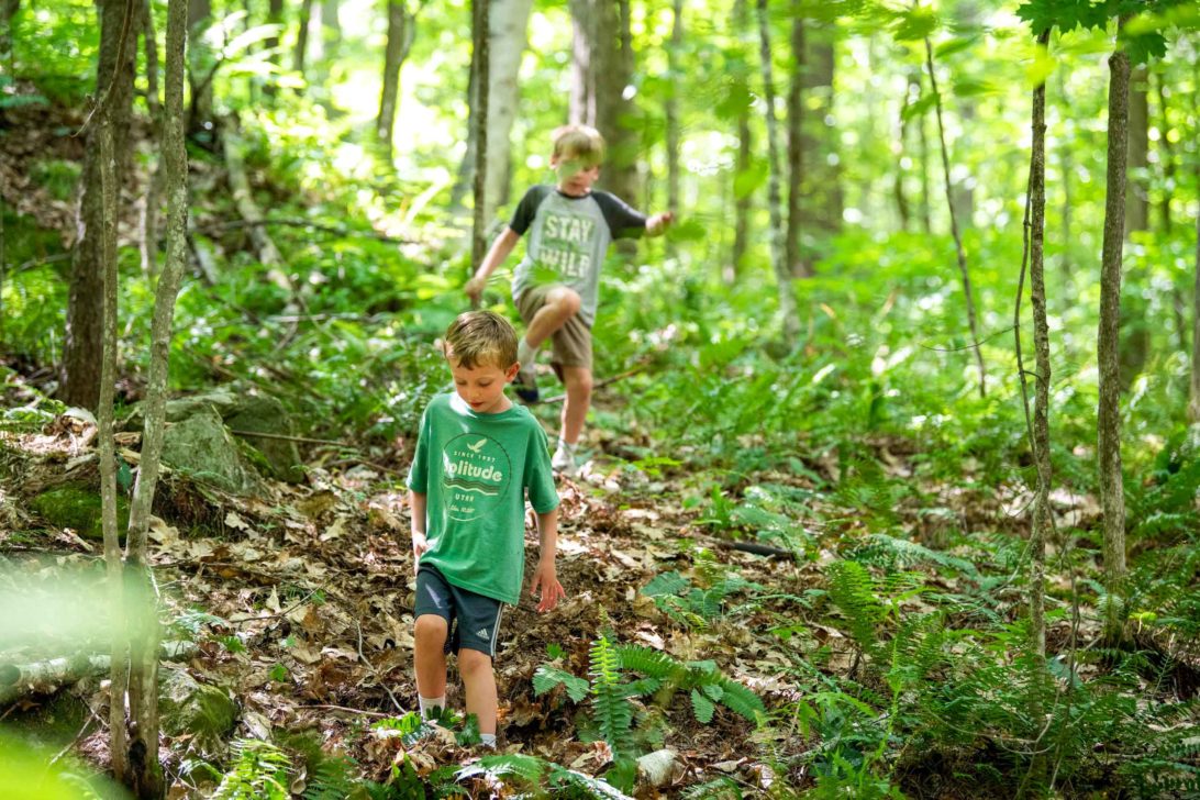 Two children walking in the woods.