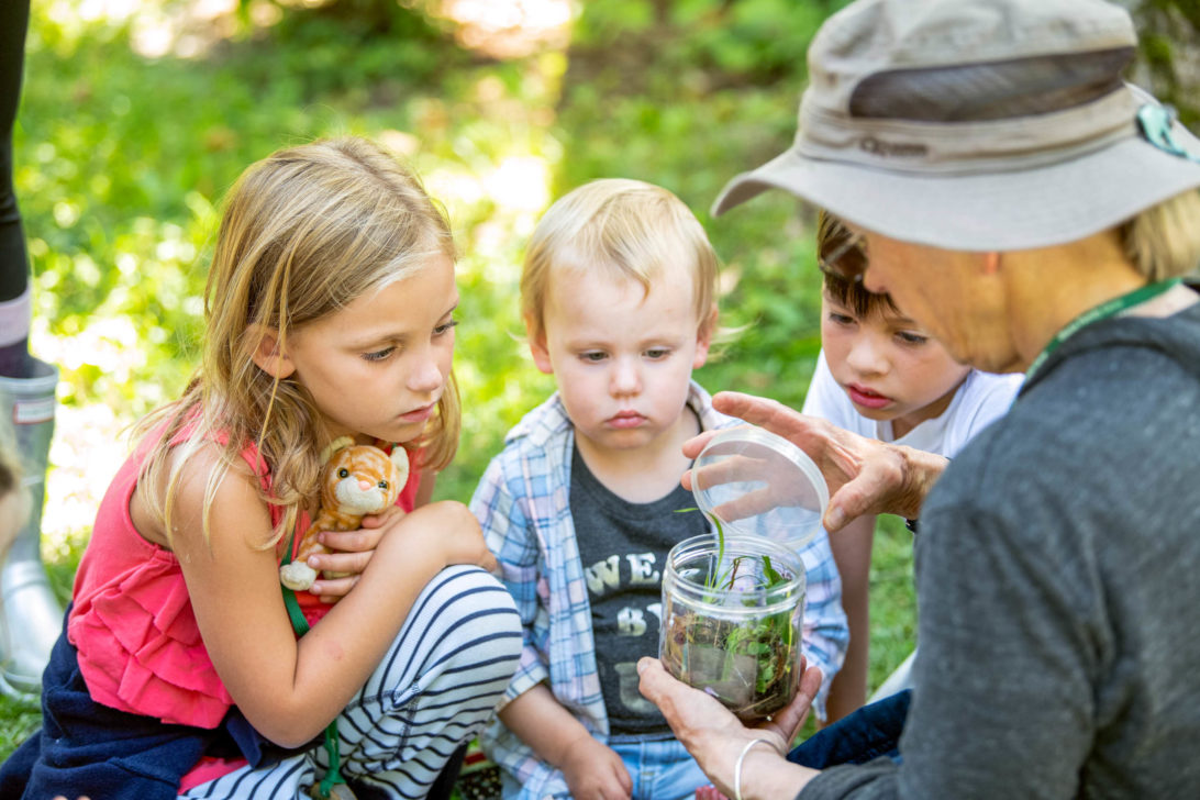 A person showing three children a jar with plants.